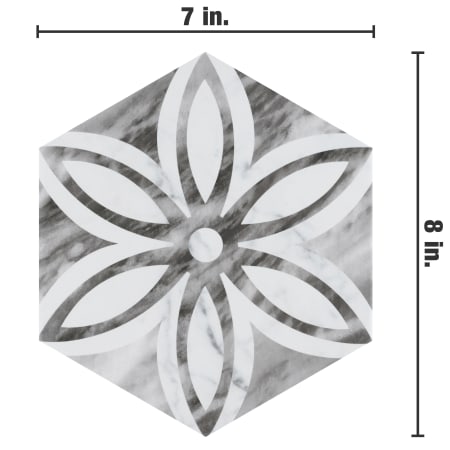 Alternate Image