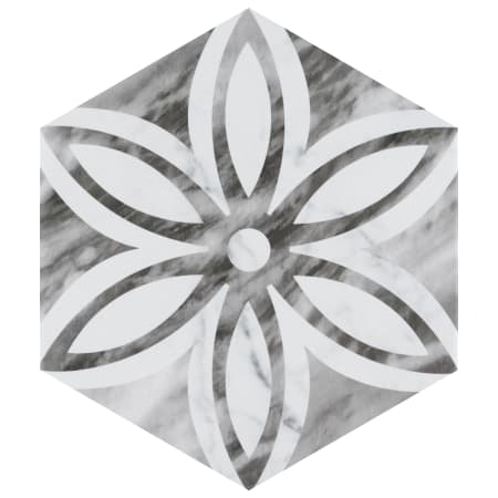 Alternate Image