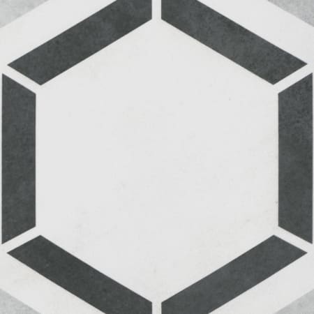 Alternate Image