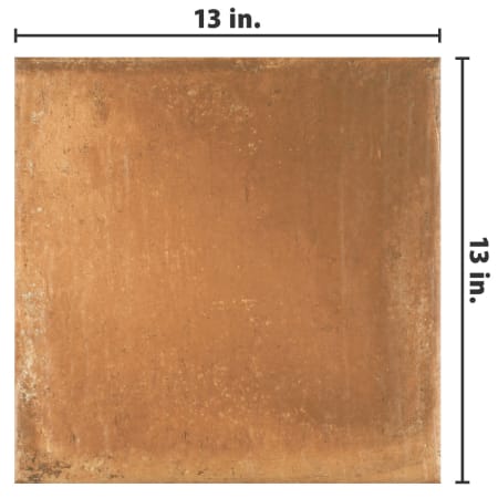 Alternate Image