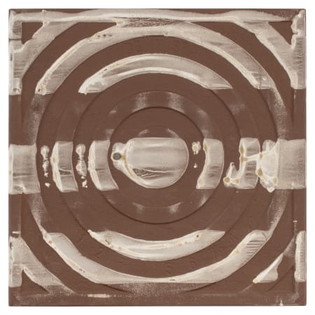 Alternate Image
