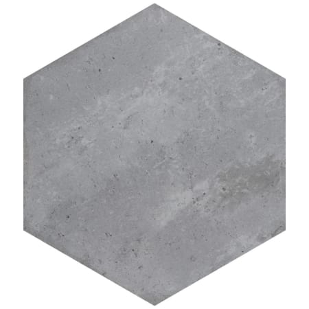 Alternate Image