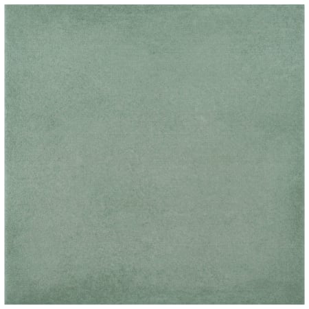 Alternate Image