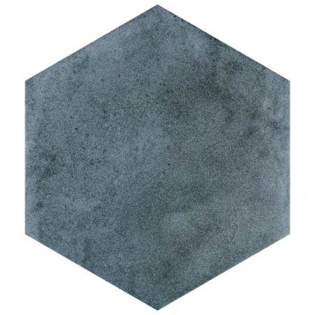 Alternate Image