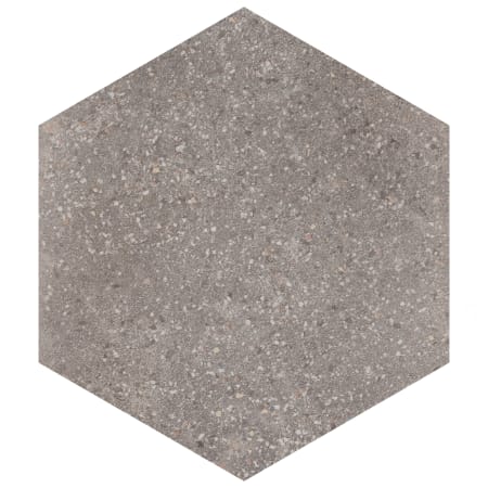 Alternate Image