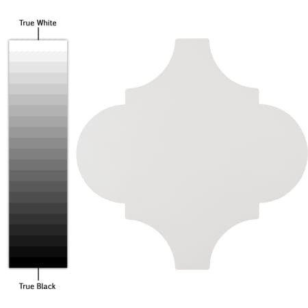 Alternate Image