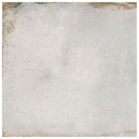 Alternate Image