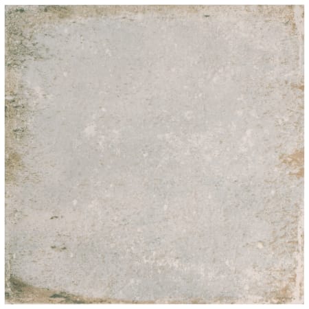 Alternate Image
