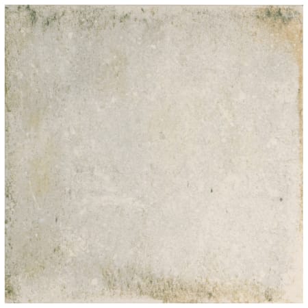 Alternate Image
