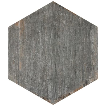 Alternate Image