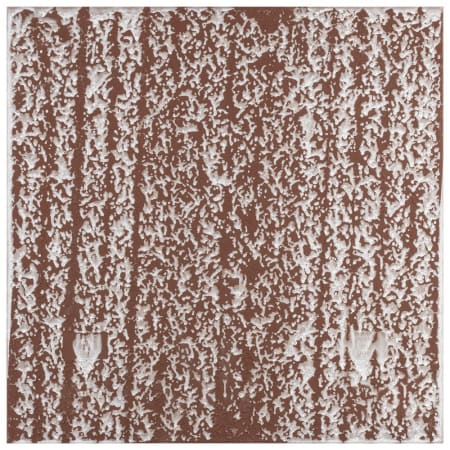 Alternate Image
