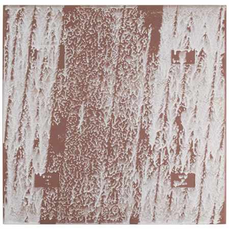 Alternate Image