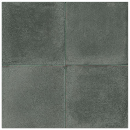 Alternate Image