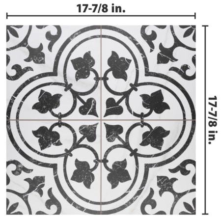 Alternate Image