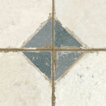 Alternate Image