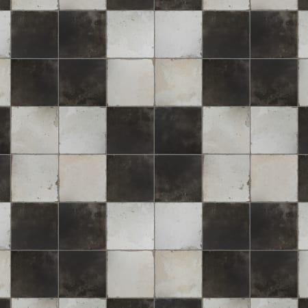Alternate Image