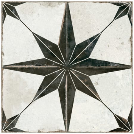 Alternate Image