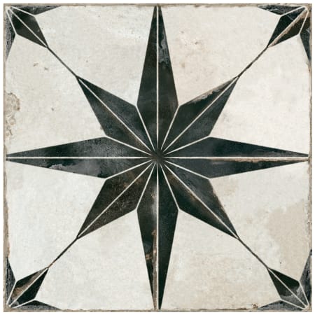 Alternate Image