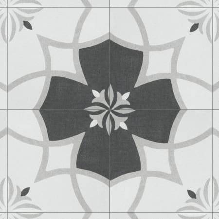Alternate Image