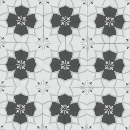 Alternate Image