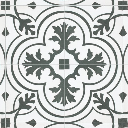 Alternate Image