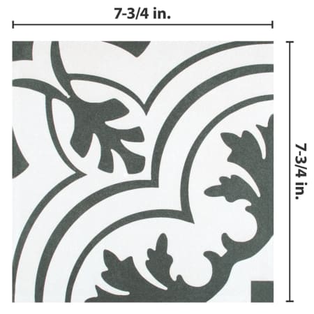Alternate Image