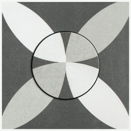 Alternate Image