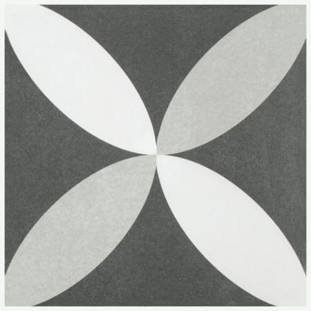Alternate Image