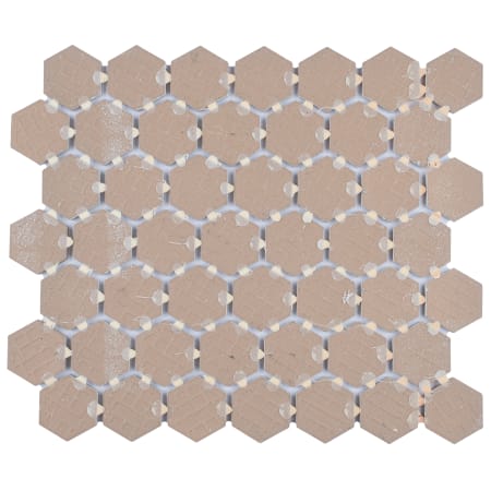 Alternate Image