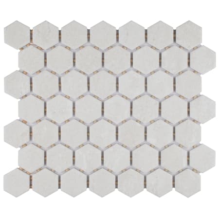 Alternate Image