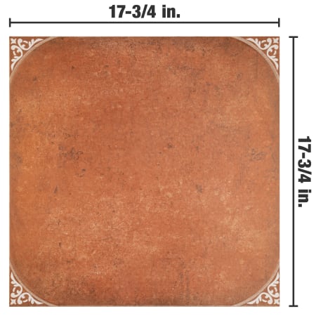 Alternate Image
