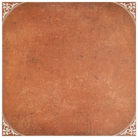 Alternate Image