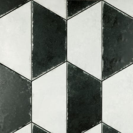 Alternate Image