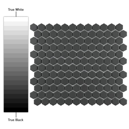 Alternate Image