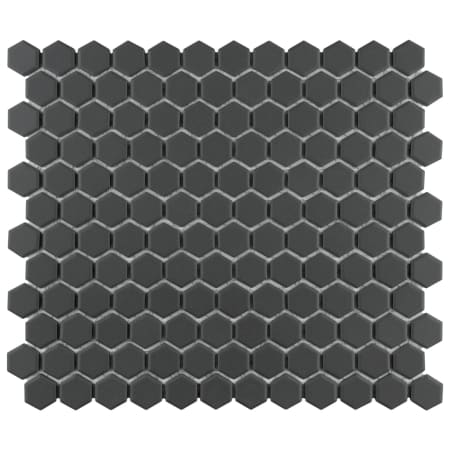 Alternate Image