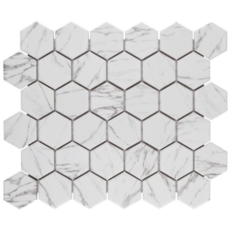 Alternate Image