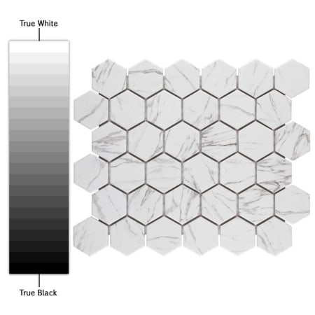 Alternate Image