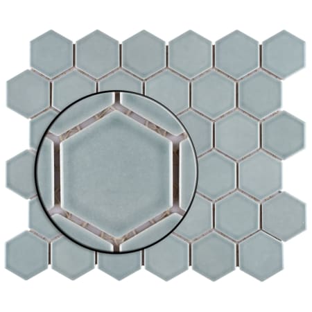 Alternate Image