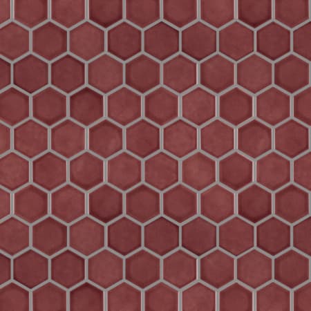 Alternate Image