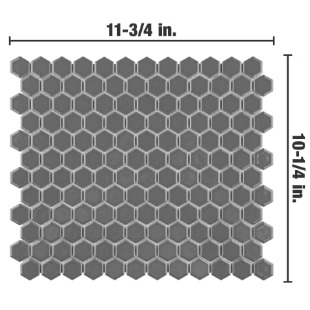 Alternate Image