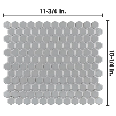 Alternate Image