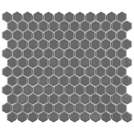 Alternate Image
