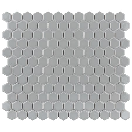 Alternate Image