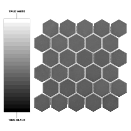 Alternate Image