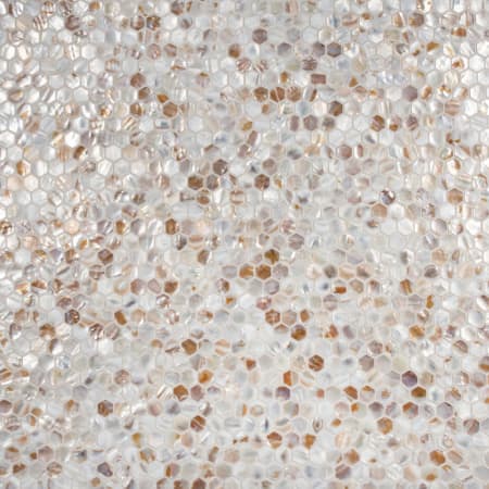 Merola Tile Conchella - 1" x 1" Hexagon Geometric Wall Mosaic Tile - Glossy Shell Visual - Sold by Sheet (0.95 SF/Sheet) Natural Seashell