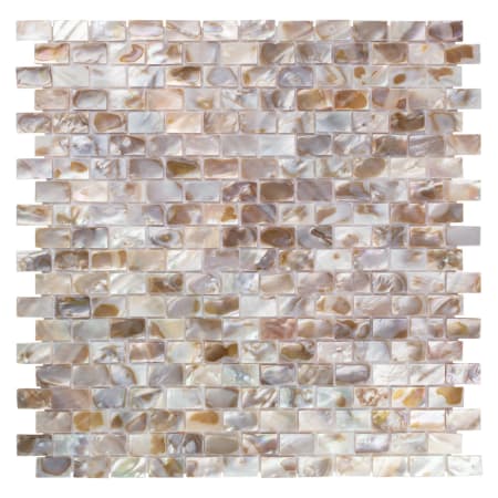Merola Tile Sample Only of GDXCSW-SHELL Natural Seashell