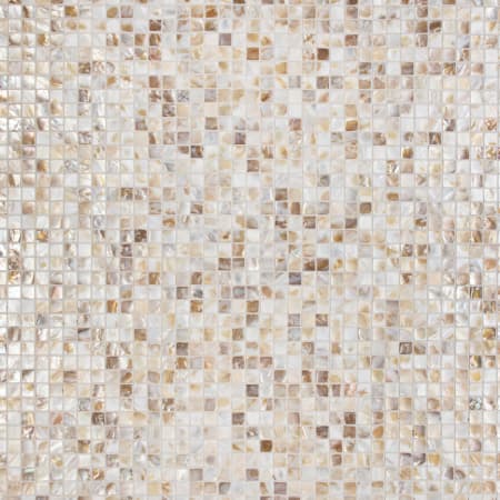 Merola Tile Conchella - 1" x 1" Square Wall Mosaic Tile - Glossy Shell Visual - Sold by Carton (10.2 SF/Carton) Natural Seashell