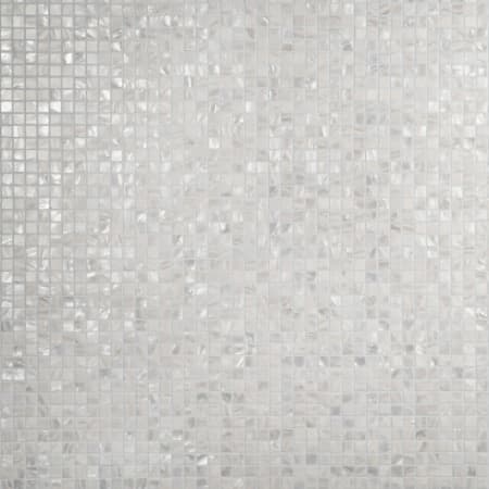 Merola Tile Conchella - 1" x 1" Square Wall Mosaic Tile - Glossy Shell Visual - Sold by Sheet (1.02 SF/Sheet) White Shell