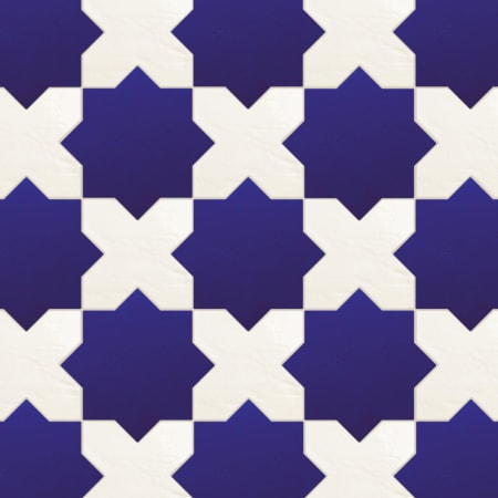 Alternate Image