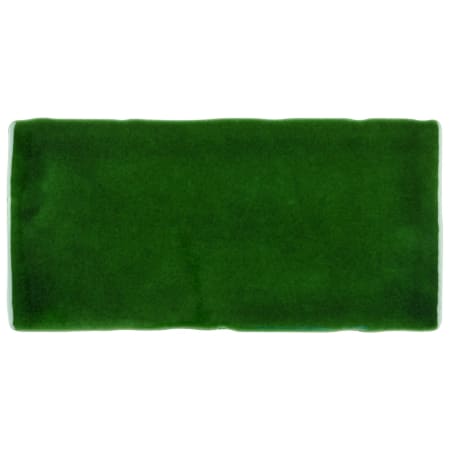 Merola Tile Sample Only of WCVANTV Verde